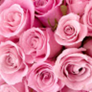 Meet your Posher, Er